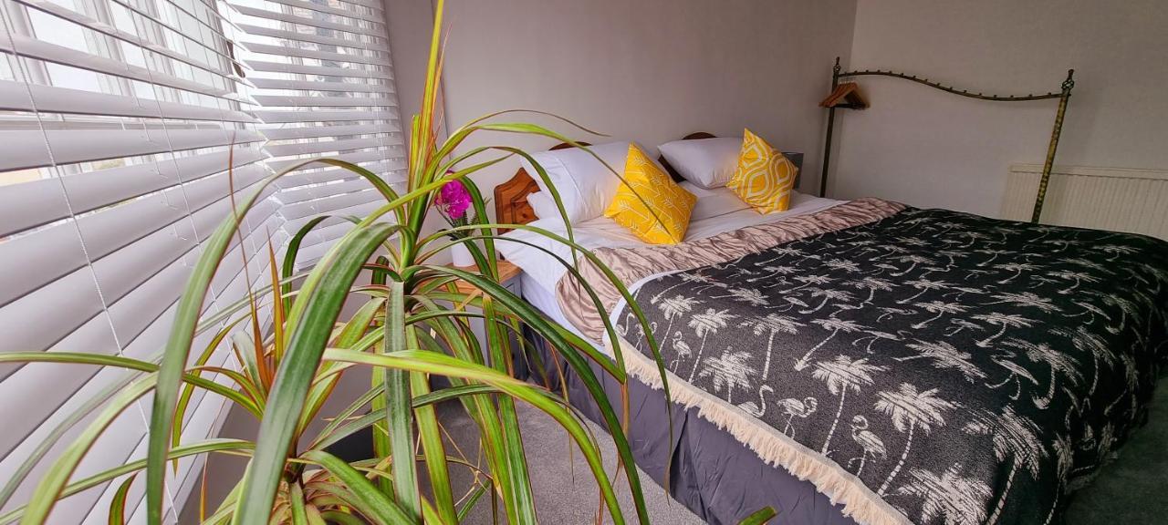 Hidden Gem Near The Beach With Pool Table New Quay Exterior foto